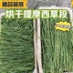 现货25年烘干提摩西草磨牙干草北提草兔子草兔饲料荷兰猪龙猫牧草