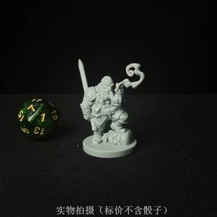 【现货】英雄单位玩家角色 矮人巫师魔剑士 DND跑团桌游棋子模型