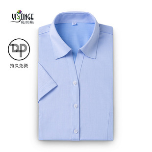商务女士职业衬衣logo 100支纱纯棉DP成衣免烫白衬衫 女装 短袖