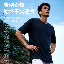 灰壳美利奴羊毛速干衣男户外登山运动短袖徒步美丽诺羊毛t恤真丝