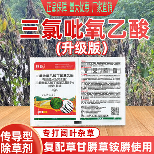 三氯吡氧乙酸水花生克星灌木恶性阔叶杂草藤蔓农用烂根农药除草剂