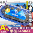 包邮 顺丰 L25花香 原箱云南大蓝莓王皇冠蓝莓新鲜8盒装 迷迭蓝24