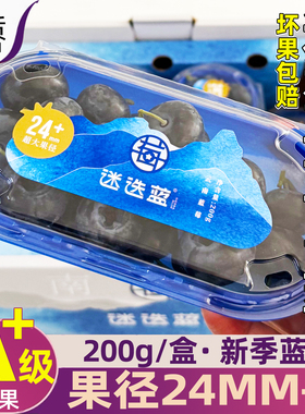 迷迭蓝24+原箱云南大蓝莓王皇冠蓝莓新鲜8盒装顺丰包邮L25花香