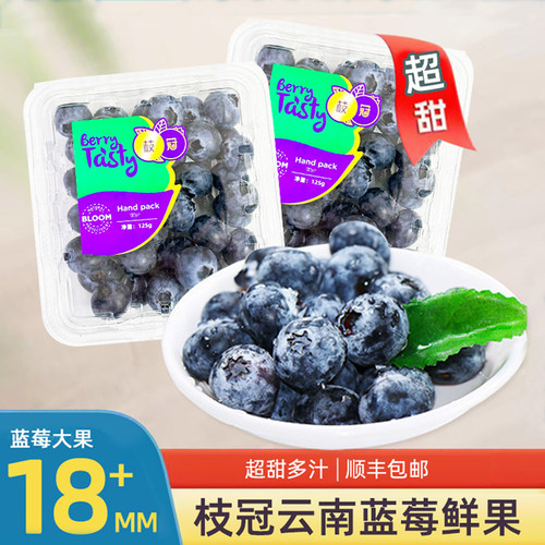 云南枝冠蓝莓鲜果125g/盒顺丰