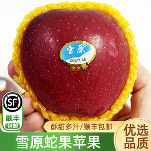 雪原蛇果苹果6粒装 酥甜多汁黄土高原高海拔甘肃红蛇果顺丰包邮