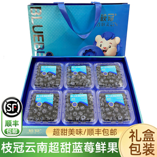 云南枝冠蓝莓鲜果6盒大果礼盒新鲜孕妇水果花香L25蓝莓水果顺丰