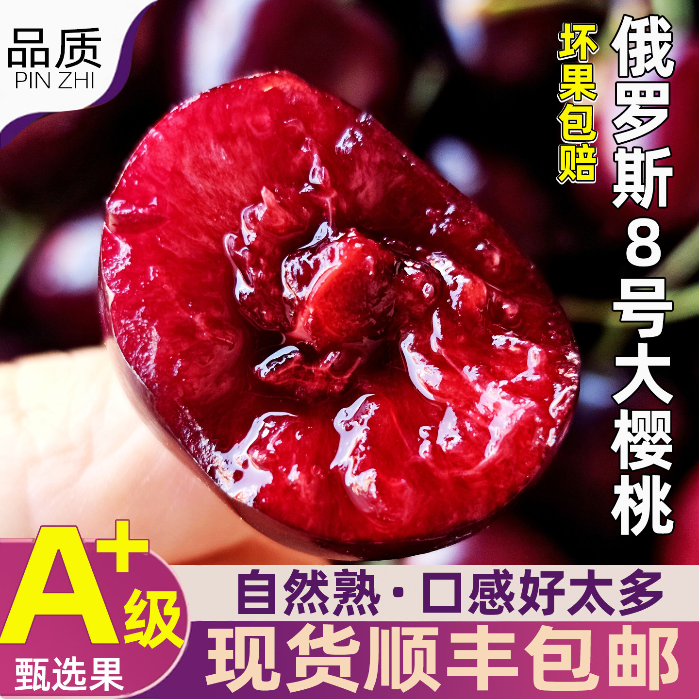 艺树家俄罗斯8号大樱桃大连艺术家樱桃车厘子大果2斤装顺丰包邮