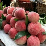 5 косаных персиков крови с фильмами, свежими, выбирая персики красного сердца в сезоне, полную коробку персиков, хрустящие персики, персики, персики