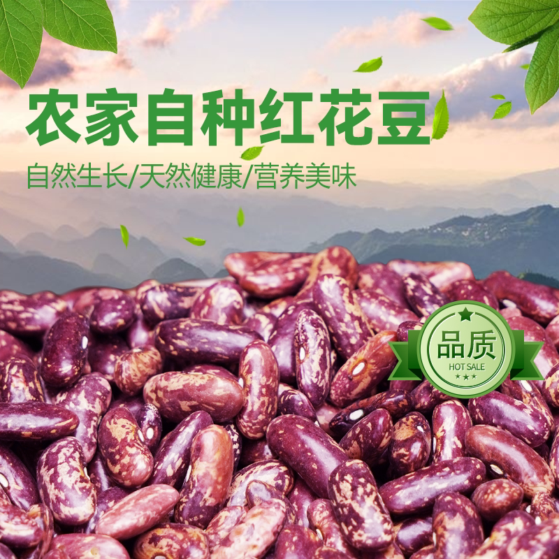 贵州花豆新货红芸豆红腰豆精选新鲜特产酸菜豆米火锅四季豆农家种