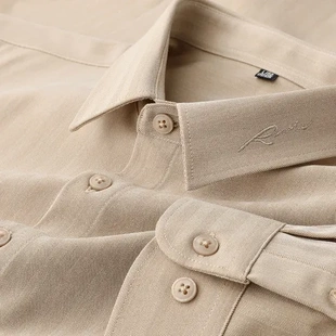 上班刺绣休闲抗皱轻商务秋季 免烫新款 衬衣男2025衬衫 春季 长袖