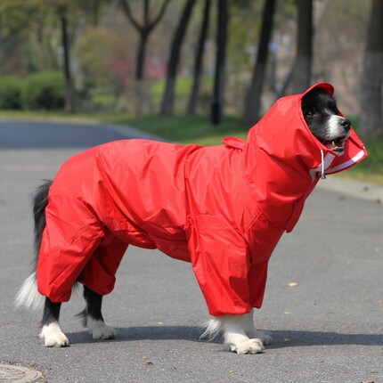 狗狗雨衣宠物全包雨衣萨摩中大型犬小狗雨披四脚连体金毛宠物衣服