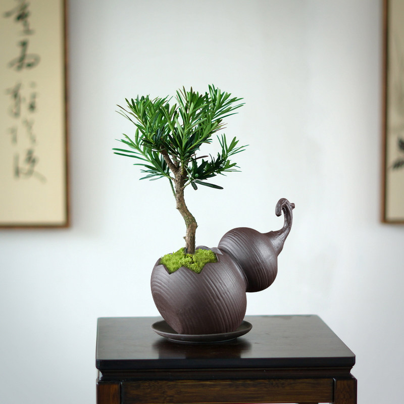 创意陶瓷花盆紫砂斜切口葫芦手工冰裂兽首狮子头绿植金弹子造景盆