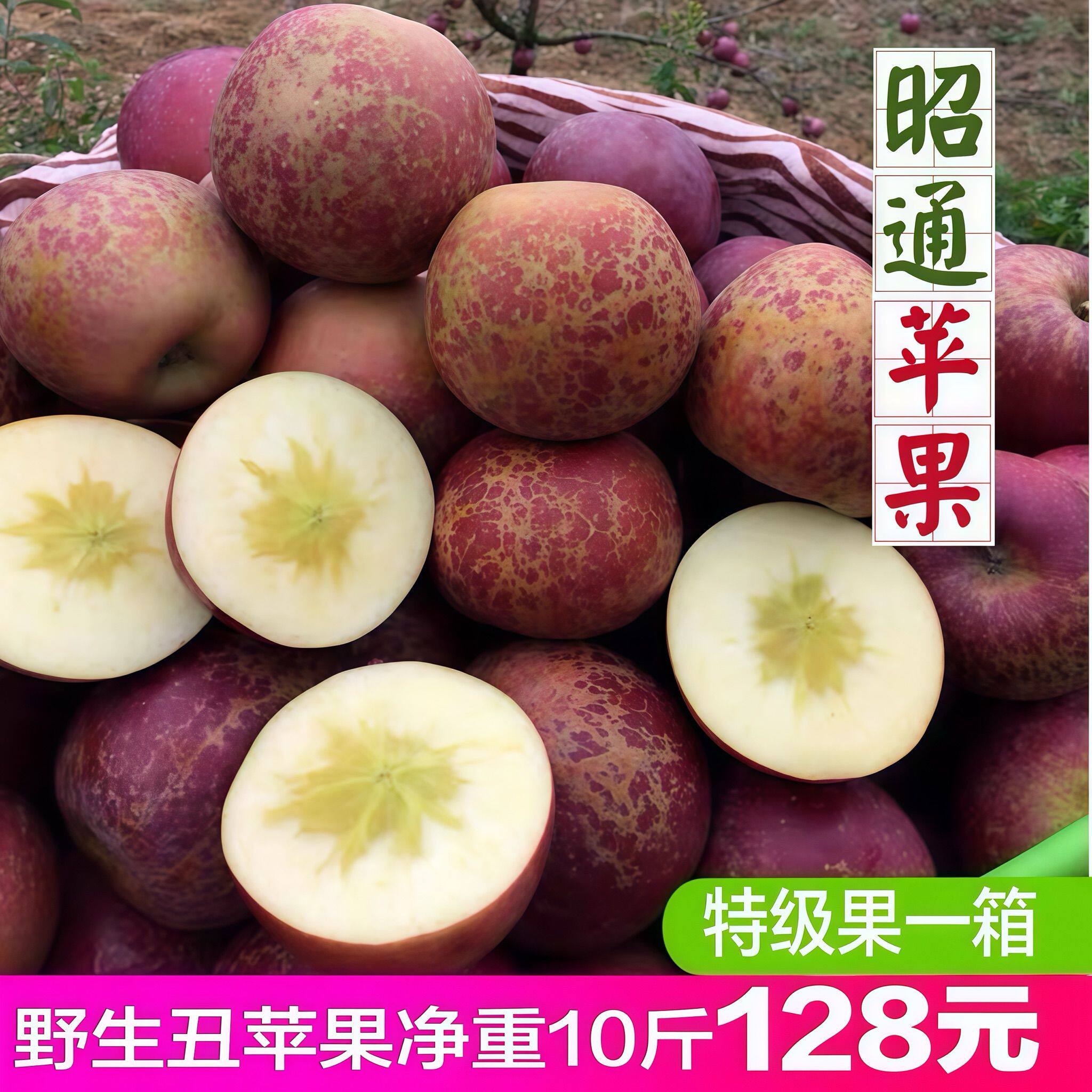 现摘苹果冰糖心原生态水果