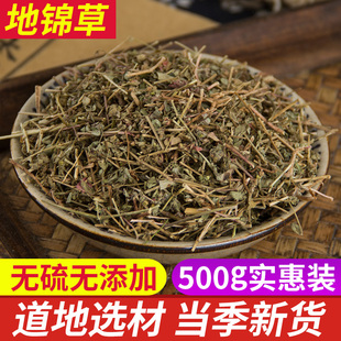 中药材 地锦草 小飞扬草 天然纯新货 铁线草 奶汁草 红莲草斑雀草