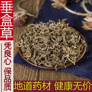中药材野生垂盆草 垂盆草干货 垂盆草茶野生垂盆草新货500克包邮