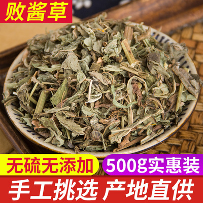 败酱草中草药野生新鲜干货500g克 黄花败酱草 北败酱草中药材