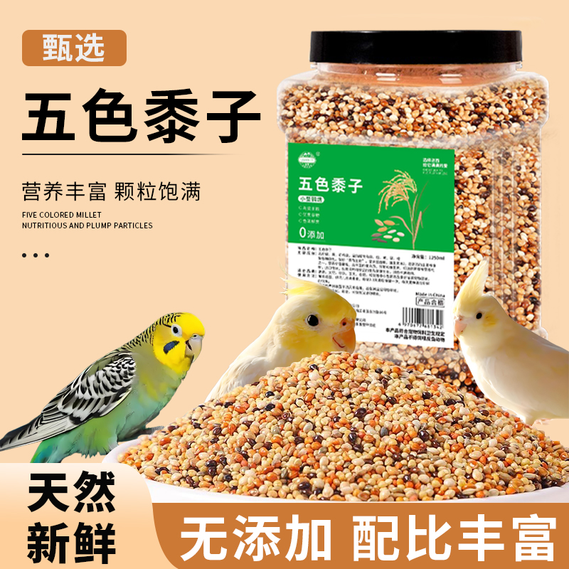 洁西鹦鹉专用粮食五色黍子