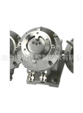 德国minimax高温探头WMX5000