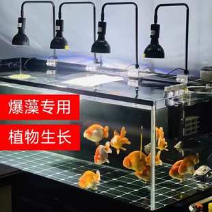 爆藻灯鱼缸灯光谱led植物补光灯水草原生南美e27螺口鱼缸灯架代货
