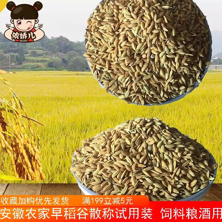 农家自种圆粒带壳早稻米水稻谷稻子喂鸡鸭鹅鸽子鸟类仓鼠饲料5斤