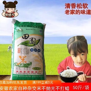 安徽南陵农家自种大米新米长粒香米双晚杂交米晚籼米25kg50斤炒饭