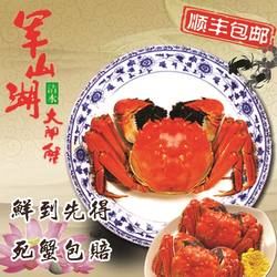 正宗军山湖大闸蟹5两公蟹10只现货江西螃蟹鲜活特大产地直发包邮