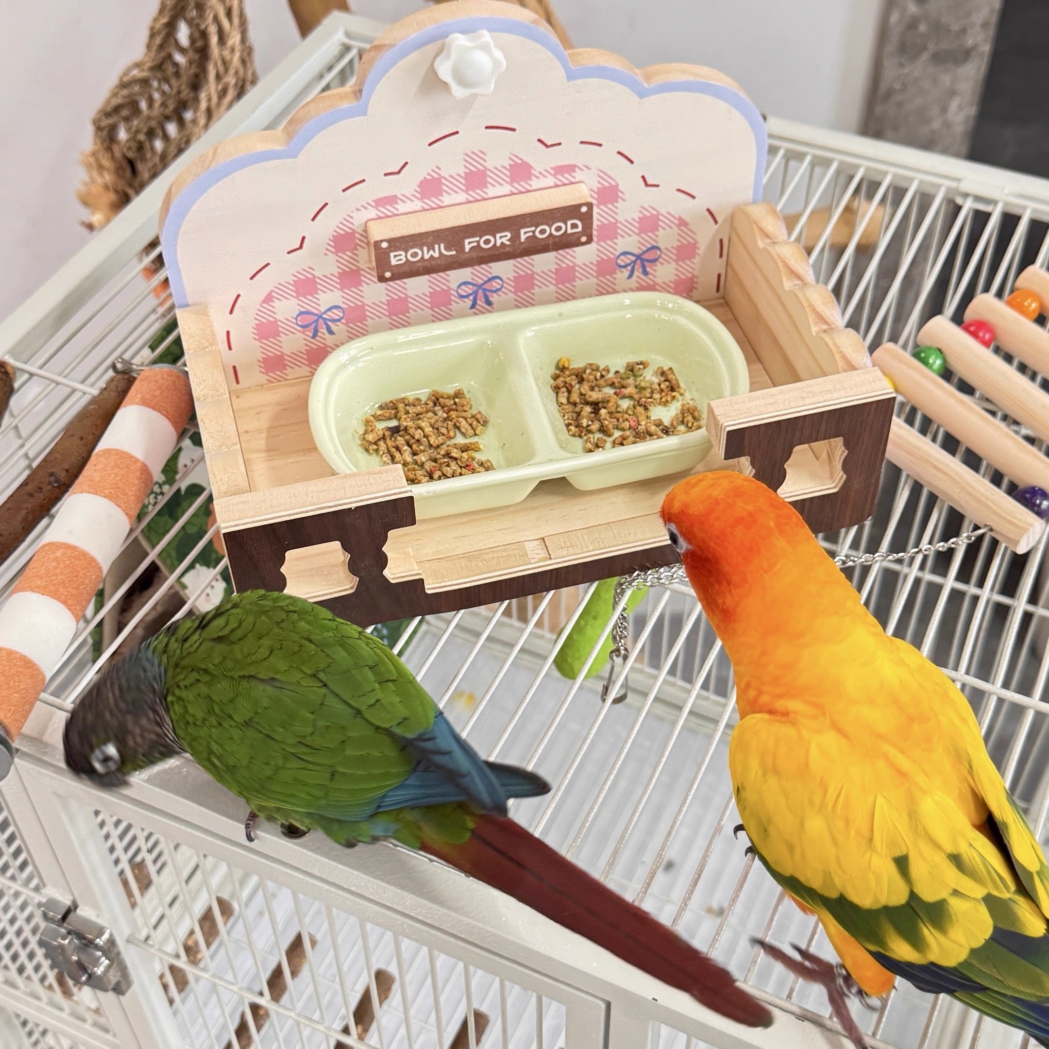 8玖-鹦鹉食盒架分体易清洗陶瓷食碗鸟笼玄凤牡丹虎皮鸟喂食器站架,宠物/宠物食品及用品,鸟禽喂食器/喂水器,淘宝优惠券,粉丝福利购,淘宝优惠卷