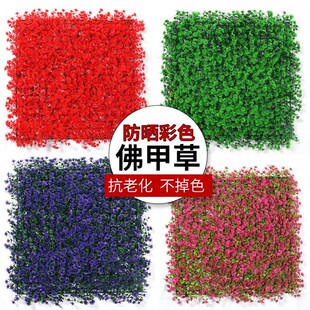 仿真植物墙彩色草坪假草皮塑料背景花墙拍摄人造草坪装饰佛甲草