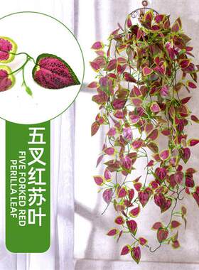 仿真植物假花藤条藤蔓绿植树叶吊兰室内绿叶装饰塑料绿萝吊蓝壁挂