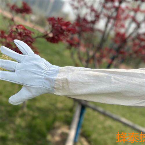 白皮帆布羊皮手套 养蜂防蜜蜂用品防护蜂具