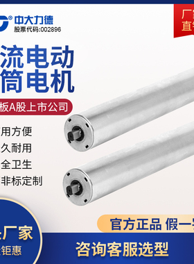 ZD中大力德交流直径80/113/138电动滚筒动力分拣物流运输顶升滚筒