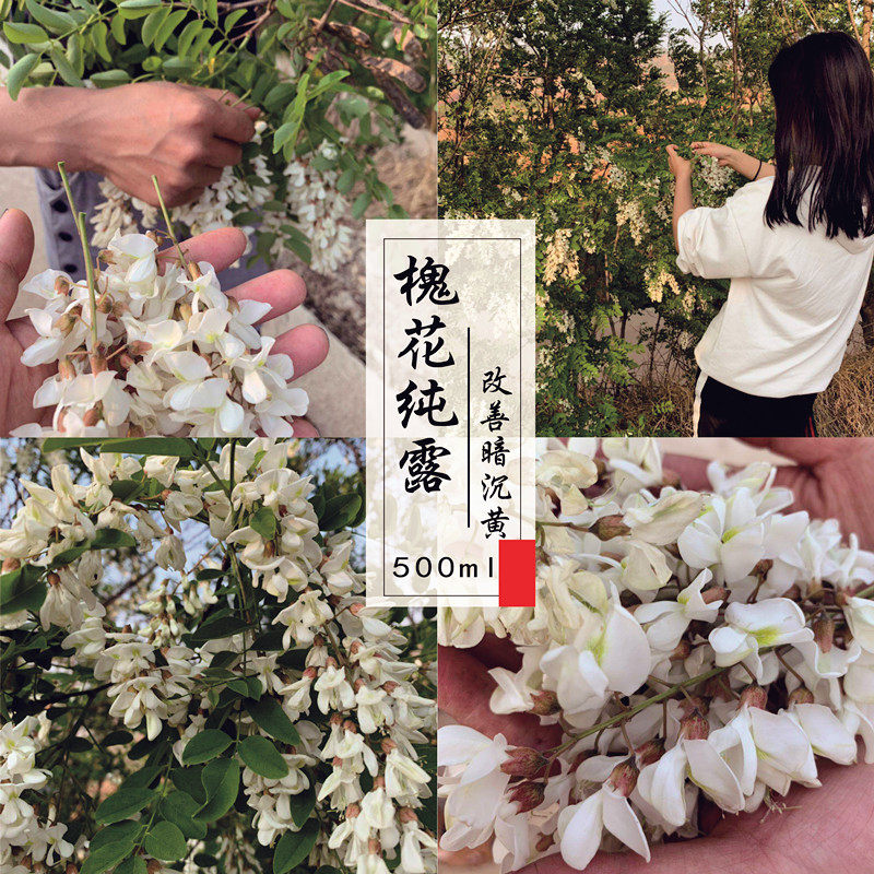 饱和新鲜槐花纯露500m l柔软肌肤白皙 明亮补充水分细嫩光滑柔和