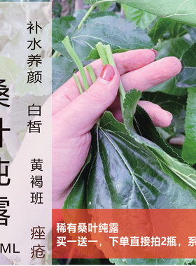 纯露高浓度饱和补水肌肤老化桑叶