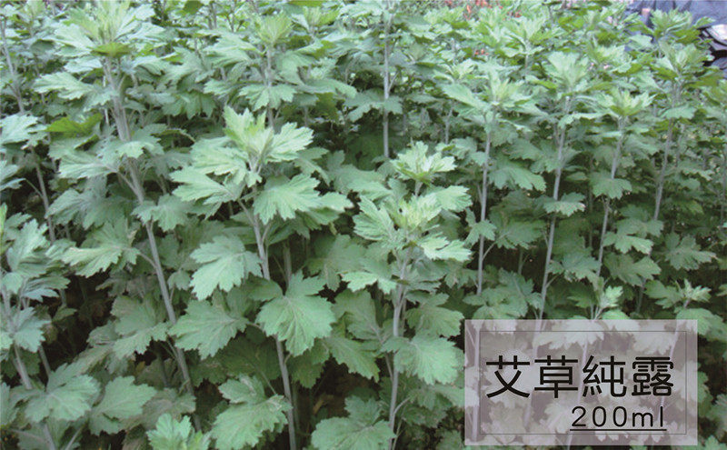 艾草纯露250ml 改善眼袋淡化黑眼圈 嫩白 防蚊痱子（满30元包邮）