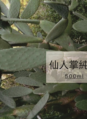 野生仙人掌纯露  巨补水 保湿 fang-fu射功效很多的哦 500ml 包邮