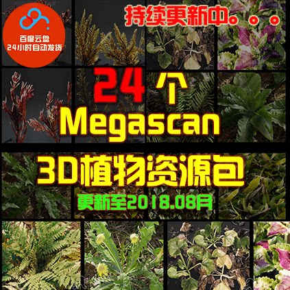 Quixel Megascan 3D植物模型素材包 支持UE4 U3D C4D Max Maya