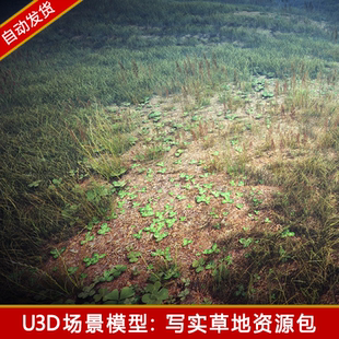 Unity3D写实野外草地场景资源包花草植物植被u3d模型游戏美术素材