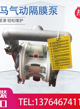 美国 Veras-Matic 威马气动隔膜泵 E1AP5T559C-B隔膜泵 污水泵