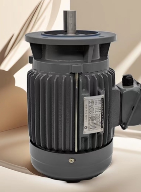 ADLEEPOWER爱德利ACO马达1/4HP1/2HP1HP2HP3HP三相感应异步电动机