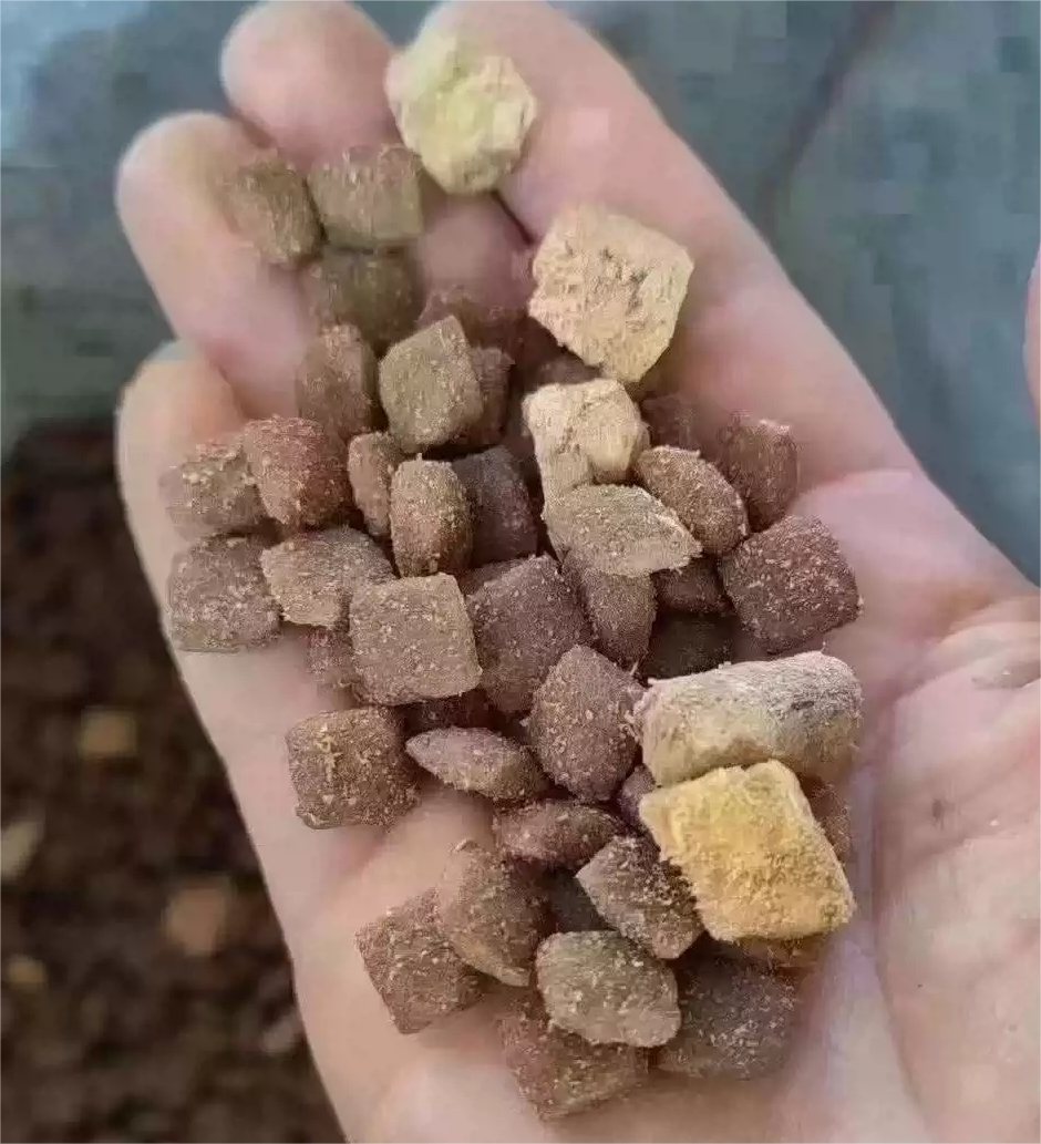 大颗粒全期臻萃大型犬
