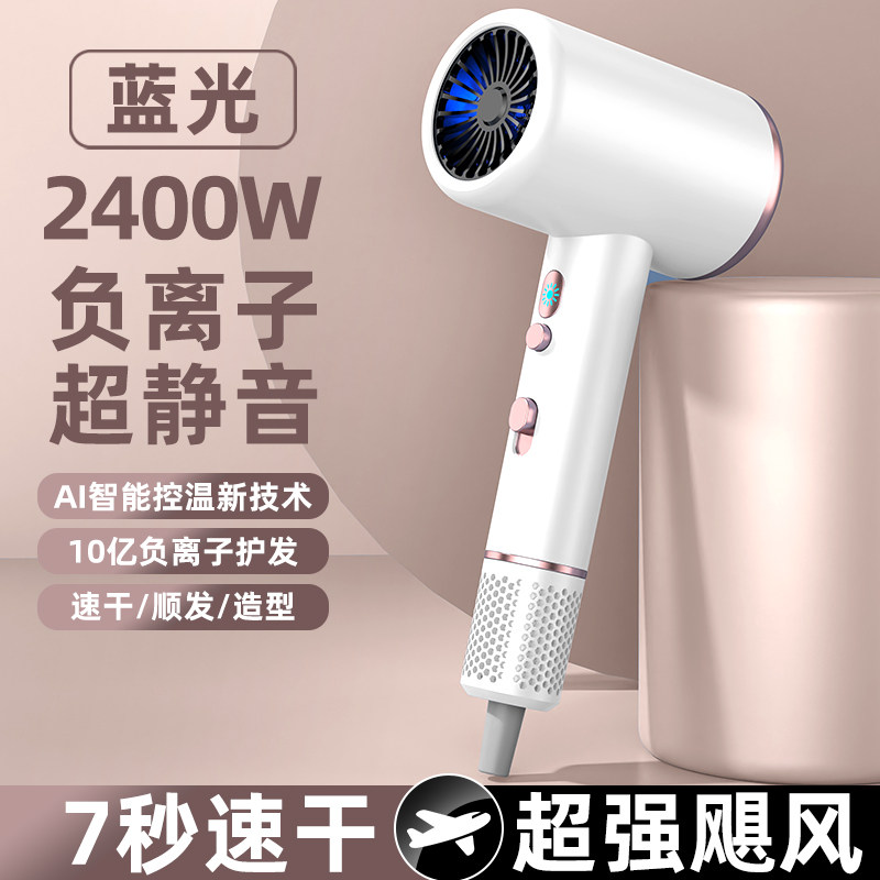 柏莱士发廊专用家用负离子电吹风控温速干超静音蓝光大风力吹风机