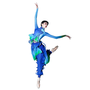 一条大河舞蹈服装古典舞身韵练功服套装扇子舞服装新款套装演出服