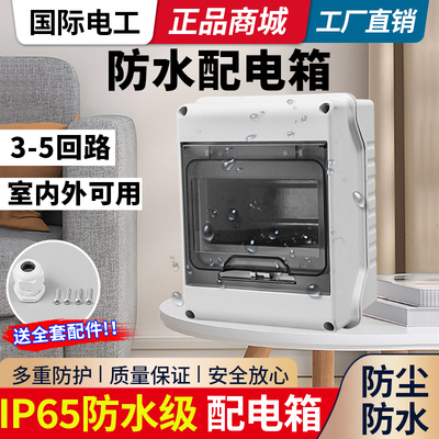 室外使用小型回路塑料IP65配电箱