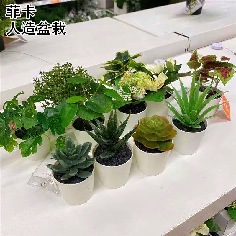 IKEA宜家菲卡人造盆栽带花盆 肉质植物 装饰仿真盆栽装饰花