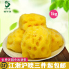 【榴星語】冷凍新鮮菠蘿蜜菠蘿水果甜品烘培原料菠蘿肉1KG /袋