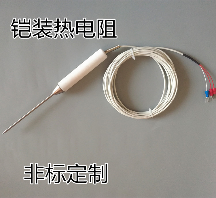 WZPK-191F铠装热电阻 尖头手柄式铂电阻 防腐防油可弯曲PT100