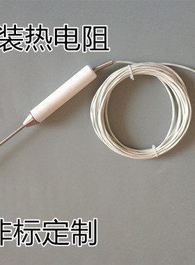 WZPK-191F铠装热电阻 尖头手柄式铂电阻 防腐防油可弯曲PT100