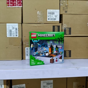 LEGO乐高 我的世界21274对战循声守卫积木玩具拼搭摆件礼物生日