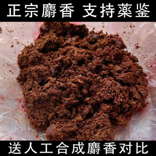 《五年麝香》正宗麝香非人工合成麝香粉中药材1克g麝香仁当门子