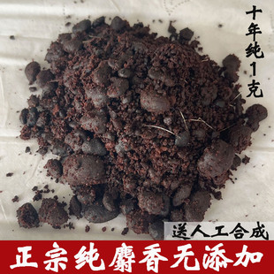 《十年麝香》中药材1g克 非人工合成 麝香粉麝香酒 麝香当门子